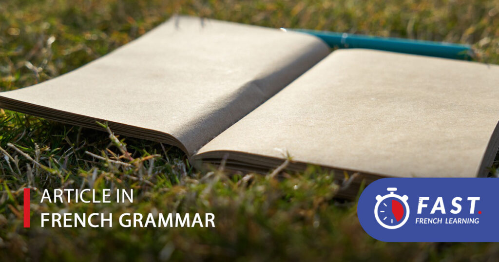 Article in French grammar
