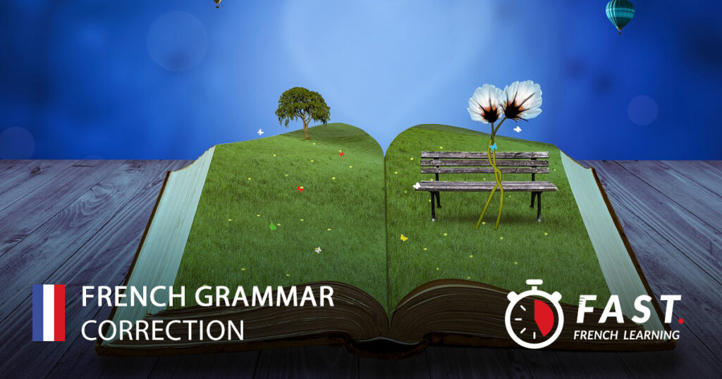 FRENCH grammar correction